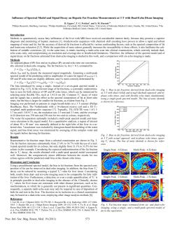 Influence of Spectral Model and Signal Decay on Hepatic