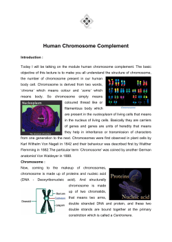 TEXT Human Chromosome Complement