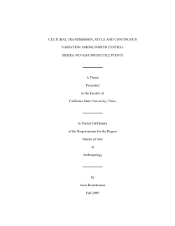 CULTURAL TRANSMISSION, STYLE AND