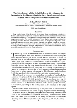 The Morphology of the Golgi Bodies with reference to Secretion in