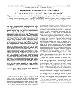 Computer-aided analysis of arterial wall architecture