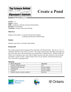 Moose Population Census - The Science Behind Algonquin`s Animals