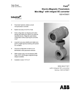 Electro-Magnetic Flowmeters Mini-Mag&reg; with integral XE converter