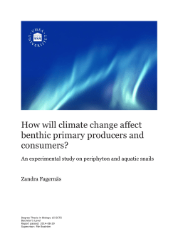 How will climate change affect benthic primary producers and