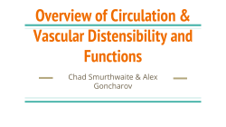 Circulation and Vascular distensibility