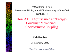 How ATP is Synthesized at &ldquo;Energy