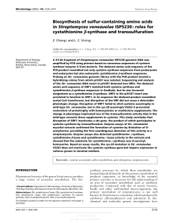 Biosynthesis of sulfur-containing amino acids in