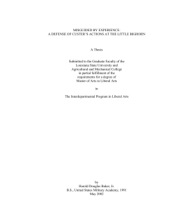 MISGUIDED BY EXPERIENCE: A DEFENSE OF CUSTER`S