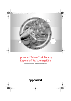 Eppendorf Micro Test Tubes / Eppendorf