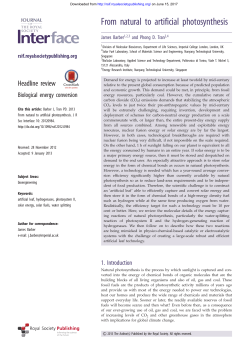 Full Text  - Journal of The Royal Society Interface