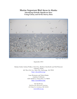 Marine Important Bird Areas in Alaska