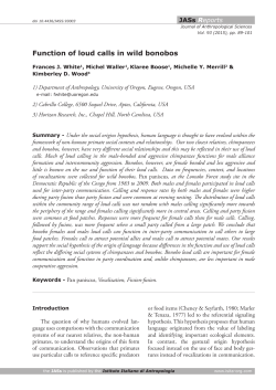Function of loud calls in wild bonobos - Isita