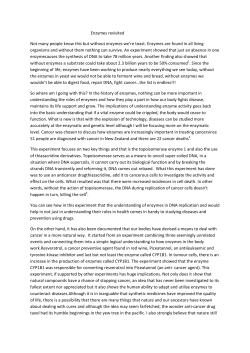 Enzymes revisited Not many people know this but without enzymes