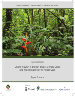 Linking REDD+ to Support Brazil`s Climate Goals