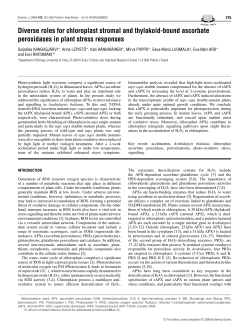 Diverse roles for chloroplast stromal and thylakoid