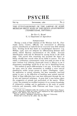 The Cytotaxonomy of the Larvae of Some Mexican Fruit Flies in the