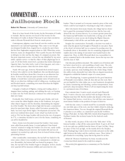commentary - Geological Society of America