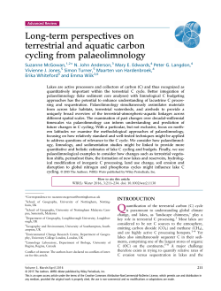 Long-term perspectives on terrestrial and aquatic carbon cycling