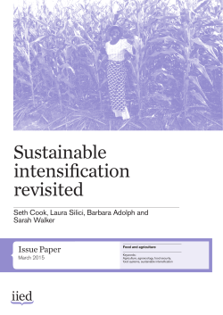 Sustainable intensification revisited - IIED pubs