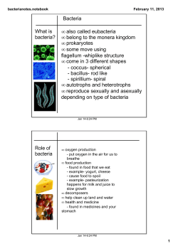 Bacteria What is bacteria? &bull; also called eubacteria &bull; belong to the