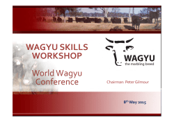 Graham Truscott -Wagyu skills workshop