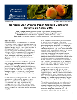 Northern Utah Organic Peach Orchard Costs and Returns, 20 Acres