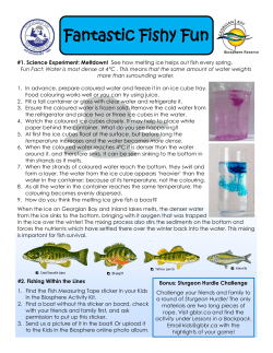 Fantastic Fishy Fun - Georgian Bay Biosphere Reserve