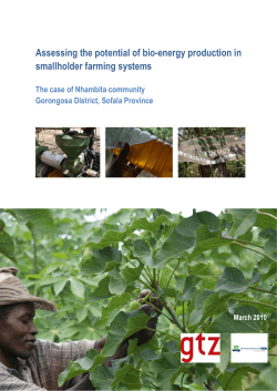 the case of Nhambita-community