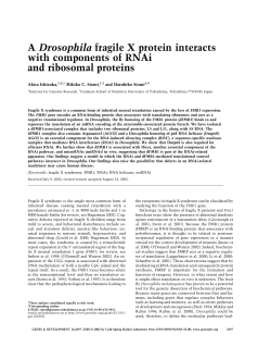 A Drosophila fragile X protein interacts with components