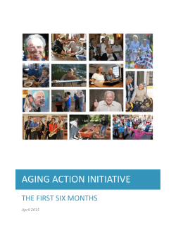 Aging Action Initiative Six Month Report (link is external)