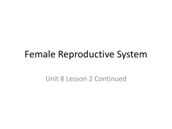 Female Reproductive System