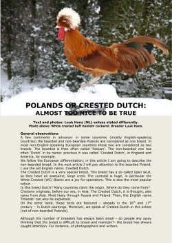 polands or crested dutch