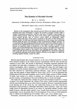 The Kinetics of Mycelial Growth