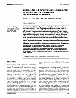 Evidence for cell-density-dependent regulation of catalase activity in