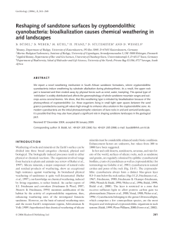 Reshaping of sandstone surfaces by cryptoendolithic cyanobacteria