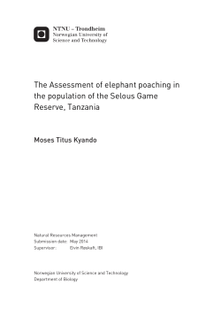 The Assessment of elephant poaching in the population of the