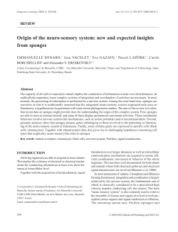 Origin of the neuro-sensory system: new and expected insights from