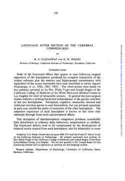 LANGUAGE AFTER SECTION OF THE CEREBRAL COMMISSURESi