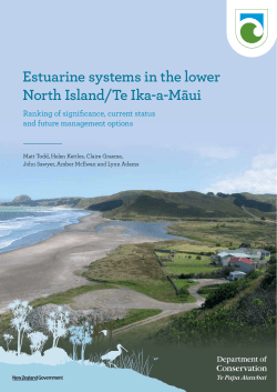 Estuarine systems in the lower North Island/Te Ika-a