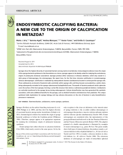 ENDOSYMBIOTIC CALCIFYING BACTERIA: A NEW CUE TO THE
