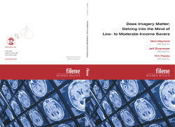 Does Imagery Matter: Delving into the Mind of Low