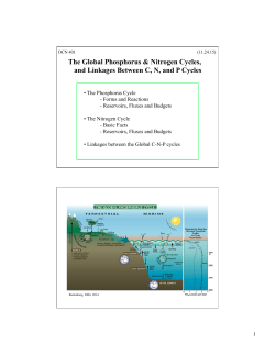 The Global Phosphorus and Nitrogen cycles