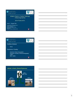 Heart Center Template - American Society of Echocardiography