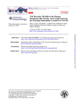 TNF-R1 the Principal Subcellular Location of
