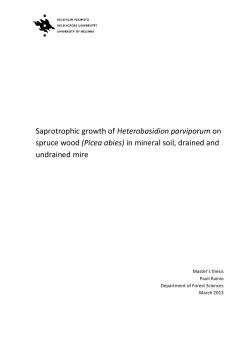 Saprotrophic growth of Heterobasidion parviporum on