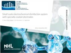 Small scale electrochemical disinfection system with specially