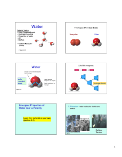 Emergent Properties of Water due to Polarity