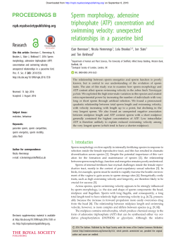 Sperm morphology, adenosine triphosphate (ATP) concentration