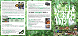 Namibia`s Forest Act and Policy
