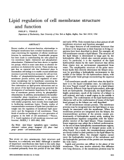Lipid regulation of cell membrane structure and